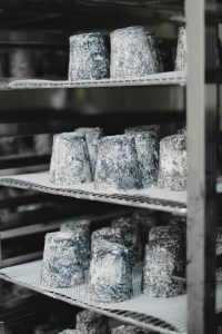 Rows of aged cheese on metal shelves in a dairy facility, highlighting traditional cheese-making processes.