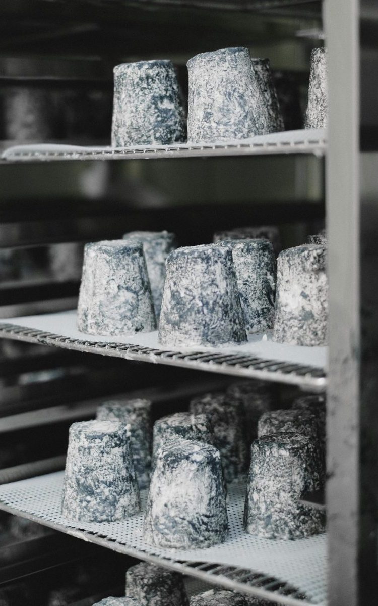 Rows of aged cheese on metal shelves in a dairy facility, highlighting traditional cheese-making processes.