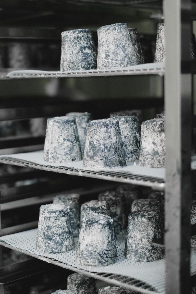 Rows of aged cheese on metal shelves in a dairy facility, highlighting traditional cheese-making processes.