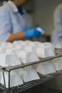 Close-up of cheese maturation on racks in a dairy production setting.